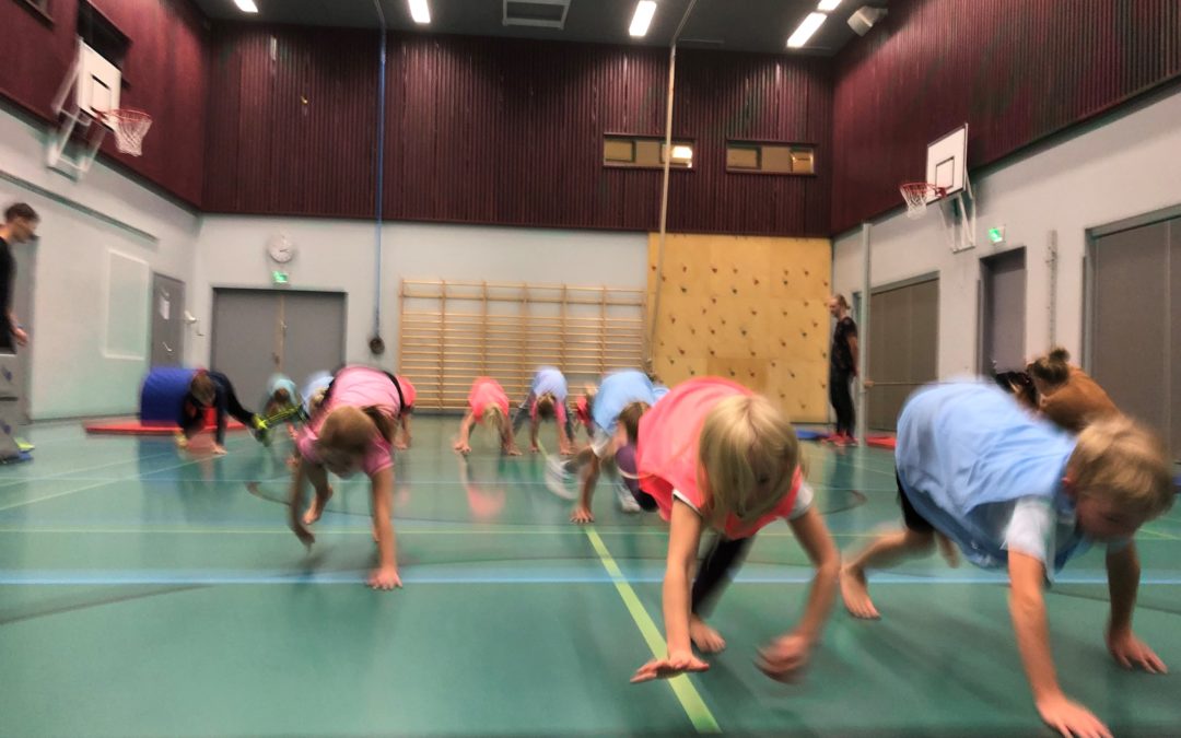 Rapuja, karhuja, matoja ja peppupalloa –  OP Tampere lahjoitti iltapäiväkerhon 150 lapselle