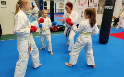 Tapanilan Erä Karate ry. käynnistää uuden harrastusryhmän Lasten Liike -lahjoituksen avulla